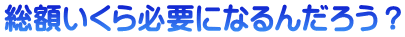 総額いくら必要になるんだろう?